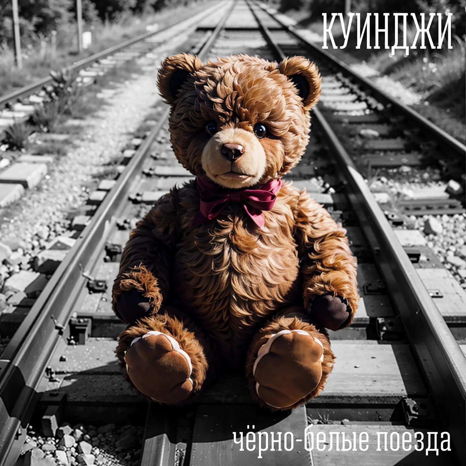 Чёрно-белые поезда